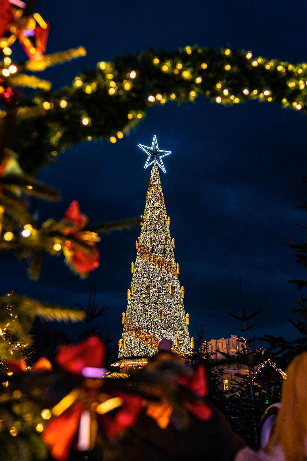 Weihnachtsbaum umrandet