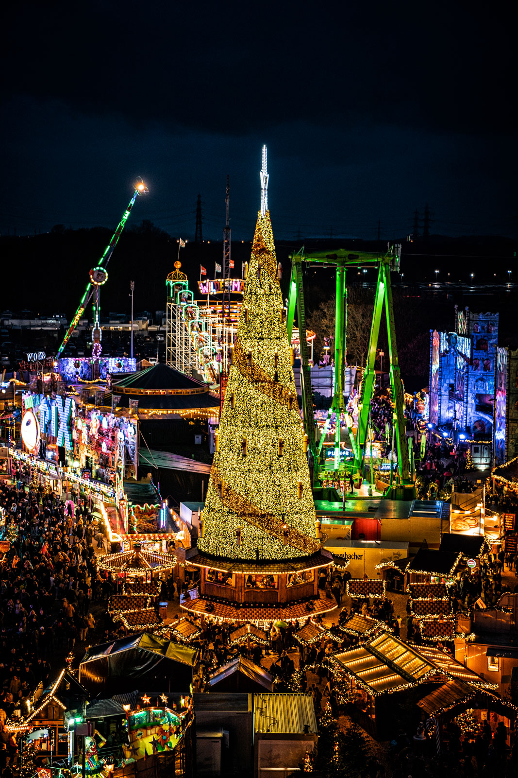 Weihnachtsbaum Totale